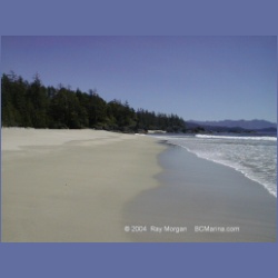 2002_376_Brooks_Peninsula.html