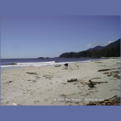2002_377_Brooks_Peninsula.html