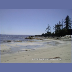 2002_379_Brooks_Peninsula.html