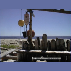 2002_380_Brooks_Peninsula.html