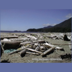 2002_381_Brooks_Peninsula.html