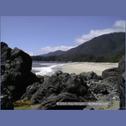 2002_385_Brooks_Peninsula.html