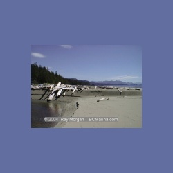 2002_413_Brooks_Peninsula.html