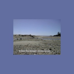 2002_414_Brooks_Peninsula.html