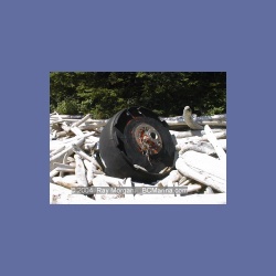 2002_416_Brooks_Weather_Buoy.html
