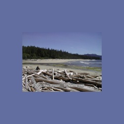 2002_418_Brooks_Peninsula.html