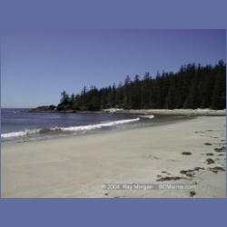 2002_420_Brooks_Peninsula.html