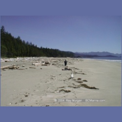 2002_421_Brooks_Peninsula.html