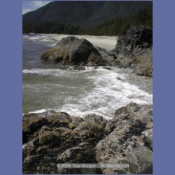 2002_423_Brooks_Peninsula.html
