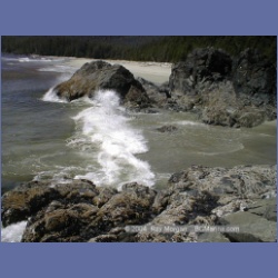 2002_424_Brooks_Peninsula.html