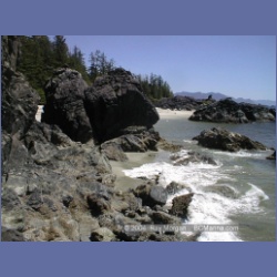 2002_425_Brooks_Peninsula.html