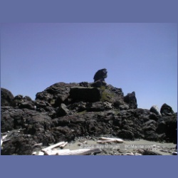 2002_428_Brooks_Peninsula.html