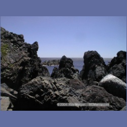 2002_429_Brooks_Peninsula.html