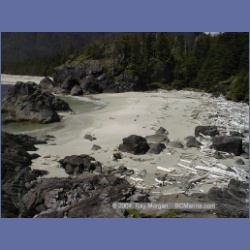 2002_433_Brooks_Peninsula.html