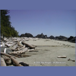 2002_435_Brooks_Peninsula.html