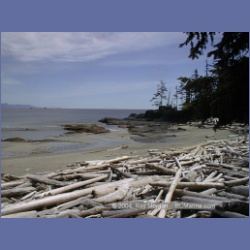 2002_470_Brooks_Peninsula.html