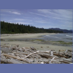 2002_471_Brooks_Peninsula.html