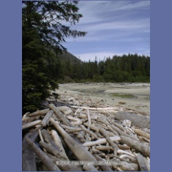 2002_472_Brooks_Peninsula.html