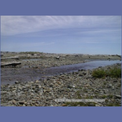 2002_473_Brooks_Peninsula.html