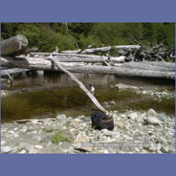 2002_474_Brooks_Peninsula.html