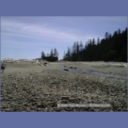 2002_475_Brooks_Peninsula.html