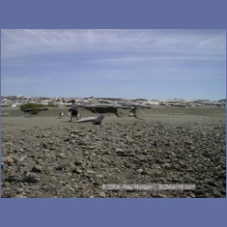 2002_476_Brooks_Peninsula.html
