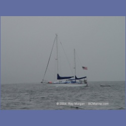 2003_3800_Elske_Brooks_Bay.html