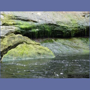 2006_2339_Marble_Creek_Shakan_Bay_AK.JPG