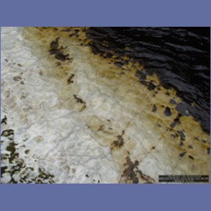2006_2343_Marble_Creek_Shakan_Bay_AK.JPG