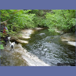 2006_2345_Marble_Creek_Shakan_Bay_AK.JPG