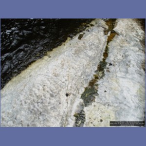 2006_2350_Marble_Creek_Shakan_Bay_AK.JPG