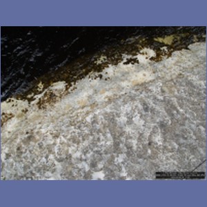 2006_2352_Marble_Creek_Shakan_Bay_AK.JPG