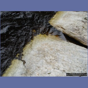 2006_2356_Marble_Creek_Shakan_Bay_AK.JPG