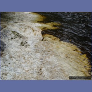 2006_2361_Marble_Creek_Shakan_Bay_AK.JPG