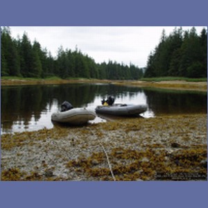 2006_2364_Marble_Creek_Shakan_Bay_AK.JPG