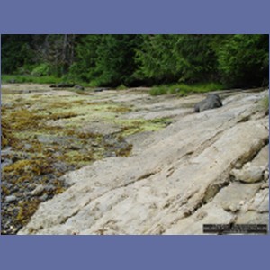 2006_2365_Marble_Creek_Shakan_Bay_AK.JPG
