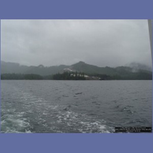 2006_2369_Marble_Creek_Shakan_Bay_AK.JPG